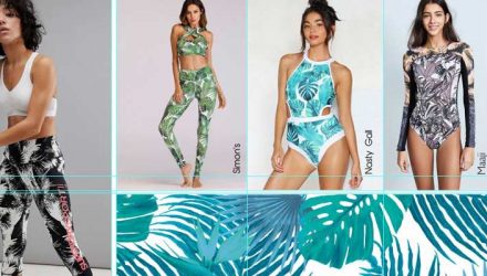 Fevest Festival 2018 - Folhagens e Coqueiros