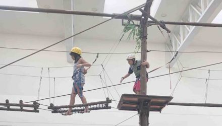 Arvorismo com Tirolesa