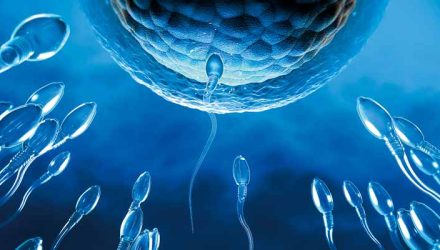 Qual a quantidade de espermatozoides para engravidar?